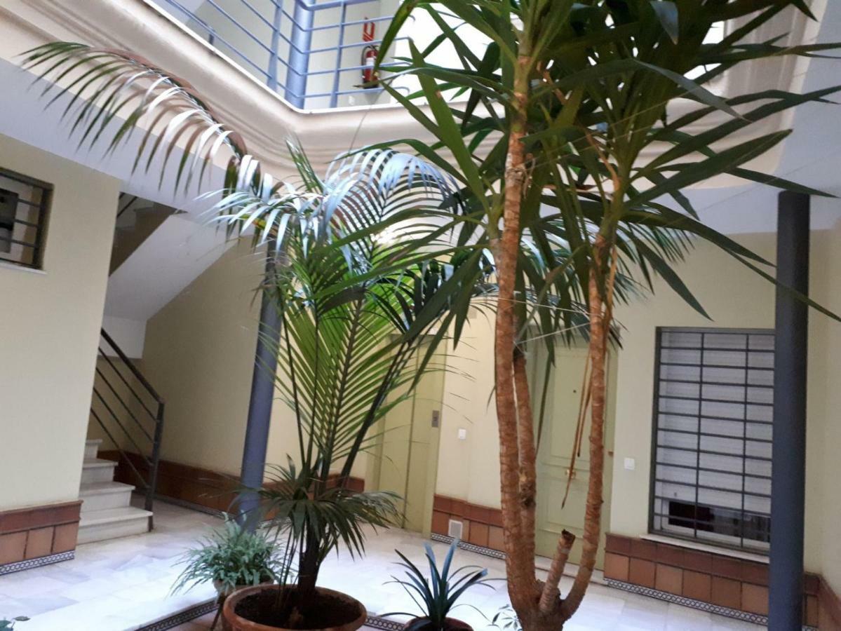 Апартаменты Calle Armas,9 Херес-де-ла-Фронтера Экстерьер фото